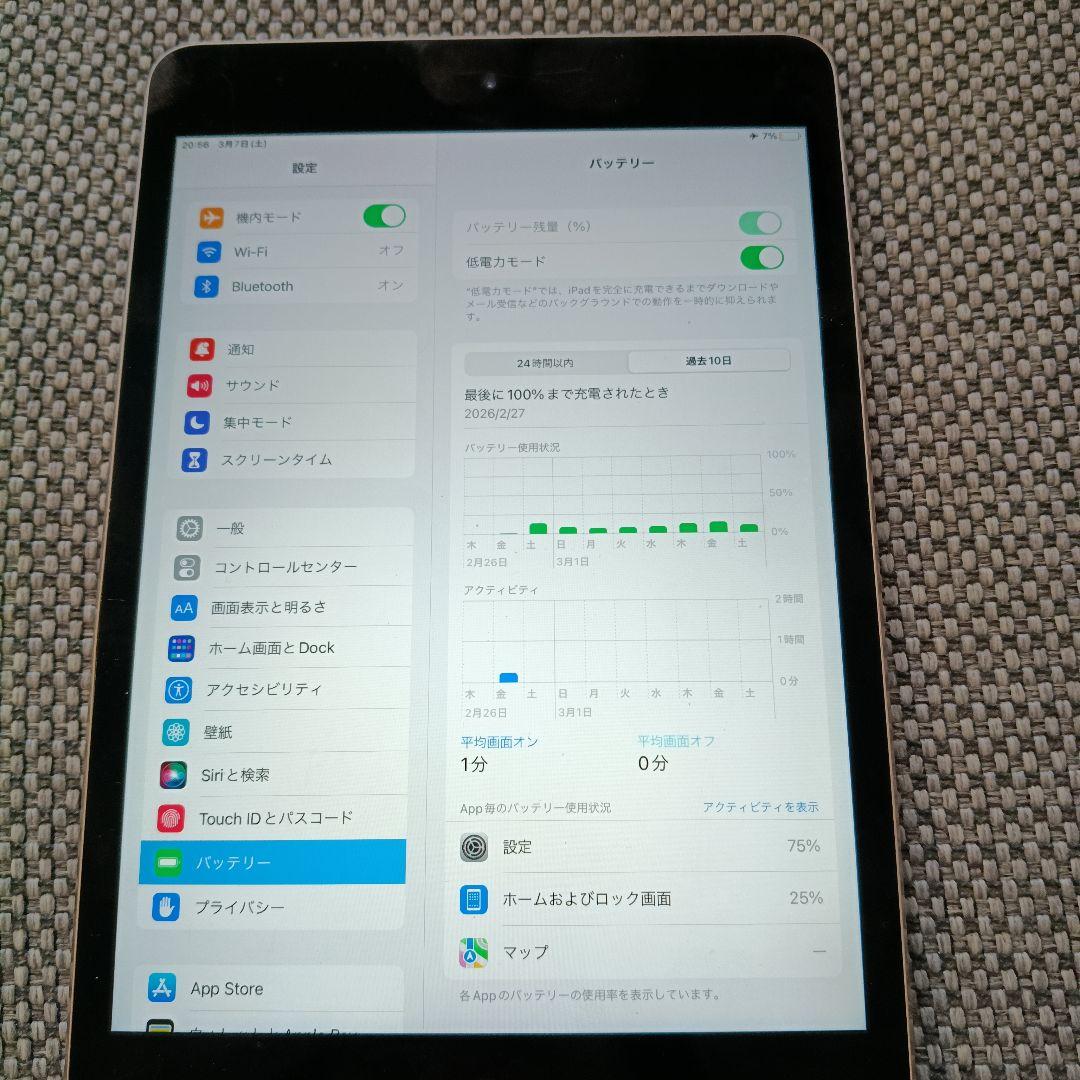 iPad本体 Apple iPad mini 4 64GB