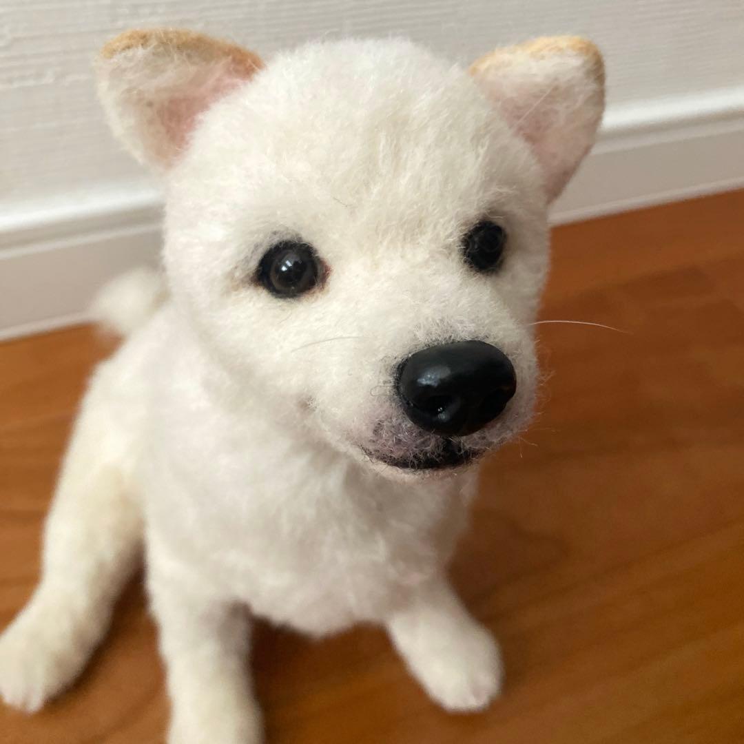 羊毛フェルト　白柴　紀州犬　白い子犬　パピー犬